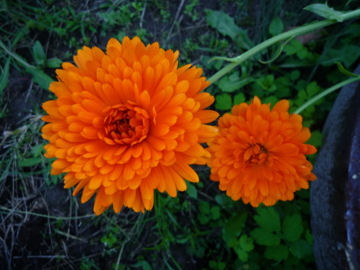 426506 (a): :1600x1200
